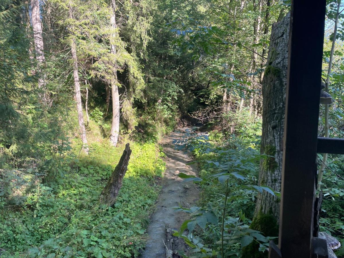 Apartament Idylla Apartment Zakopane Luaran gambar